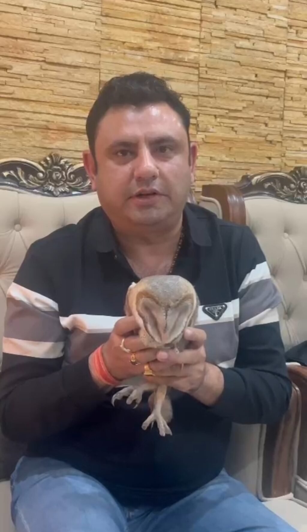 IMG_20241121_200034